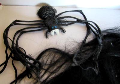 Older Halloween Wigs and Spider