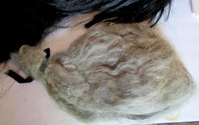 Older Halloween Wigs and Spider