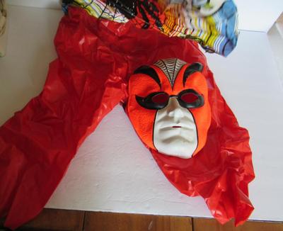 Older Spider Halloween Costume, Collegeville
