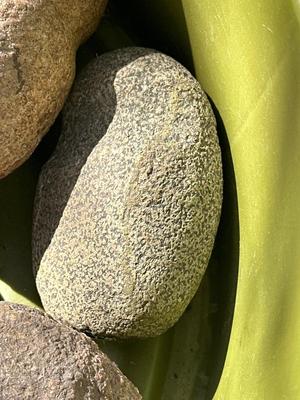 Collection of Native American rock tools