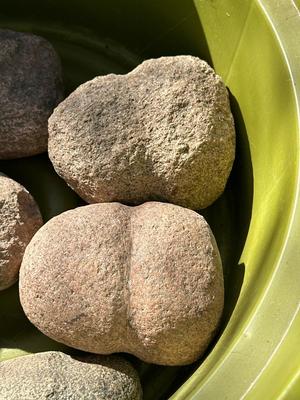 Collection of Native American rock tools