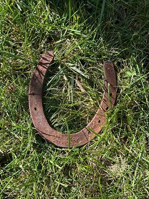 Old bucket and horseshoe