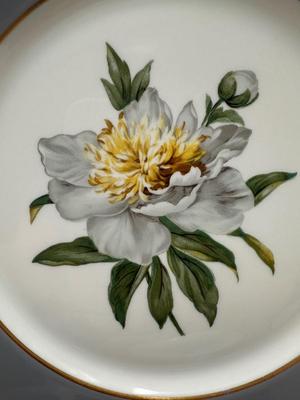Vintage Princess China Golden Peony TRU-TONE USA