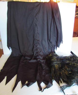 Halloween Witch's Cape and Wig, Adult Size