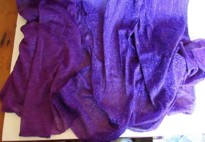 Halloween Purple Hooded Cape and Wig, Adult Size