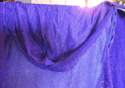 Halloween Purple Hooded Cape and Wig, Adult Size