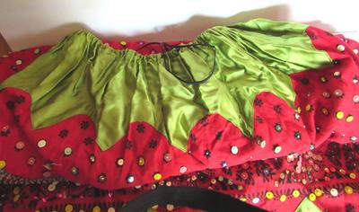 Neat Old Handmade Gypsy Skirt Halloween Costume, Adult Size