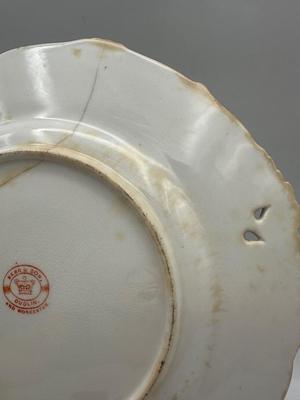 19th Century Porcelain WORCESTER/Dublin Animal Painted Plates (6)