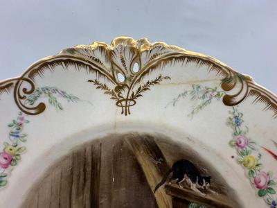 19th Century Porcelain WORCESTER/Dublin Animal Painted Plates (6)
