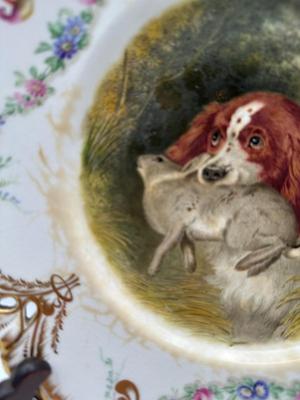 19th Century Porcelain WORCESTER/Dublin Animal Painted Plates (6)