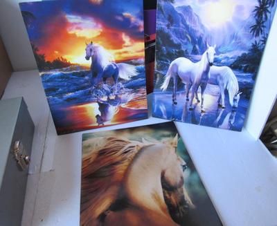 Nice File Folder With Horse Theme Folders and More, and Metal Cash Box