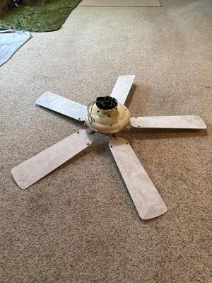 Ceiling fan