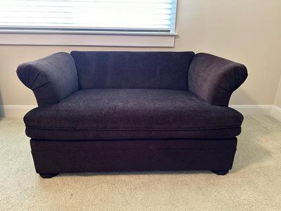 Loveseat Sleeper with Twin Size Bed