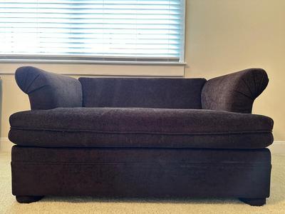 Loveseat Sleeper with Twin Size Bed