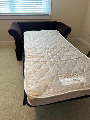 Loveseat Sleeper with Twin Size Bed