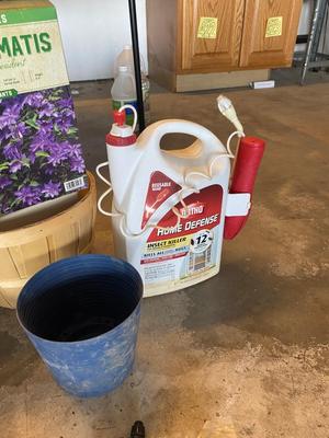 FLOWER BULBS AND GARDEN GOODIES!