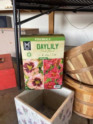 FLOWER BULBS AND GARDEN GOODIES!