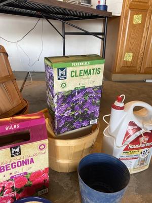 FLOWER BULBS AND GARDEN GOODIES!