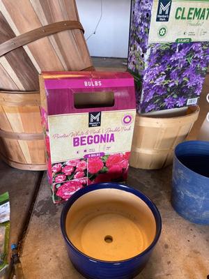 FLOWER BULBS AND GARDEN GOODIES!
