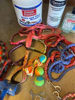 A LOT FOR YOUR PUPPY PALS!