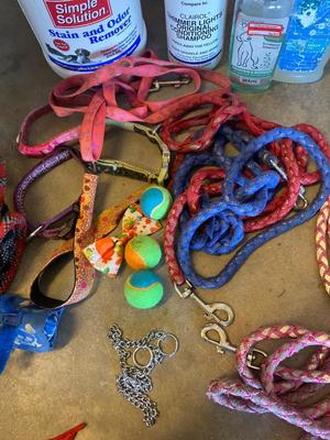 A LOT FOR YOUR PUPPY PALS!