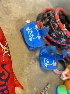 A LOT FOR YOUR PUPPY PALS!