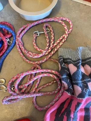 A LOT FOR YOUR PUPPY PALS!