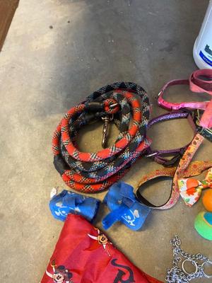 A LOT FOR YOUR PUPPY PALS!