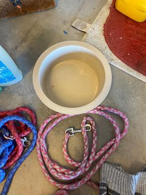 A LOT FOR YOUR PUPPY PALS!