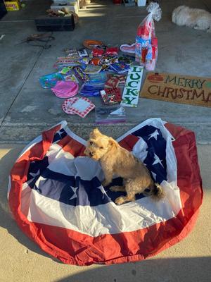 BIRTHDAY PARTY AND HOLIDAY GATHERING GOODS!