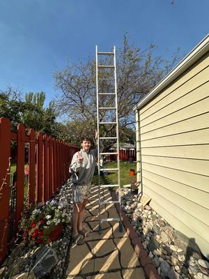 Ladder