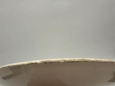 MAJOLICA Plate of Birds
