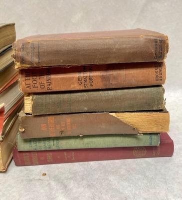 Lot of 12 Antique and Vintage Books