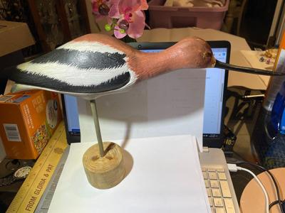 Vintage Mid-Century Shore Bird Decoy 16" Long Unsigned Base in VG Preowned Condition as Pic'd.