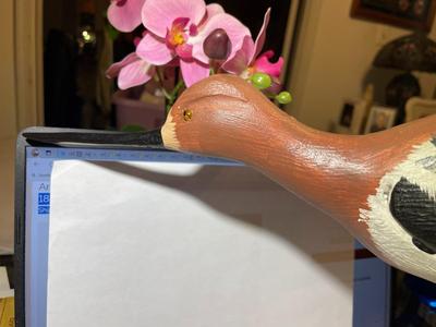 Vintage Mid-Century Shore Bird Decoy 16" Long Unsigned Base in VG Preowned Condition as Pic'd.