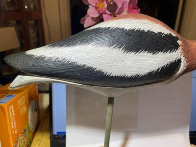 Vintage Mid-Century Shore Bird Decoy 16" Long Unsigned Base in VG Preowned Condition as Pic'd.