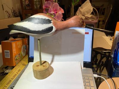 Vintage Mid-Century Shore Bird Decoy 16" Long Unsigned Base in VG Preowned Condition as Pic'd.
