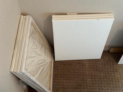 NEW ARTIST CANVAS AND PICTURE FRAMES