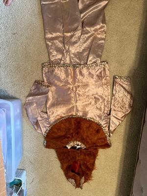 Vintage Mardi Gras Costumes
