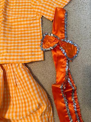 Vintage Mardi Gras Costumes