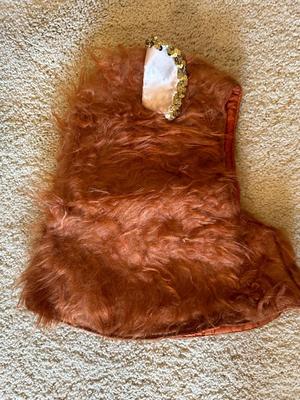 Vintage Mardi Gras Costumes