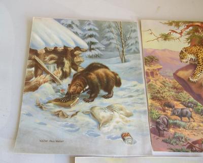 Nice Vintage Colorful Animal Prints