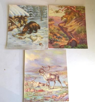 Nice Vintage Colorful Animal Prints