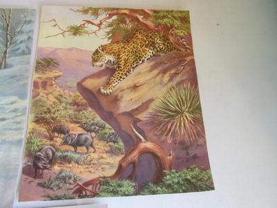 Nice Vintage Colorful Animal Prints
