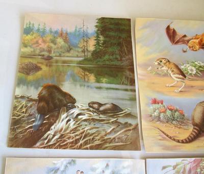 Nice Vintage Colorful Animal Prints #2