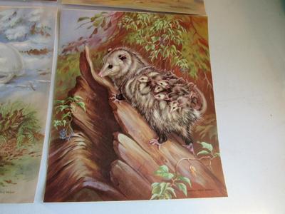 Nice Vintage Colorful Animal Prints #2