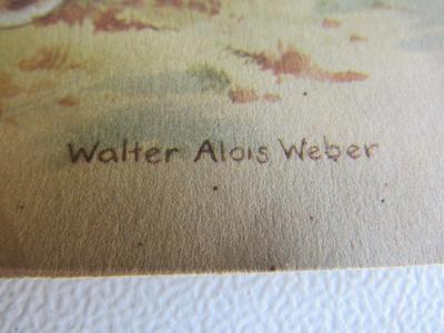 Nice Vintage Colorful Animal Prints #2