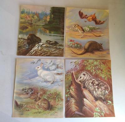 Nice Vintage Colorful Animal Prints #2