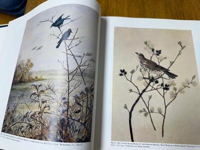 The Life and work of Winslow Homer