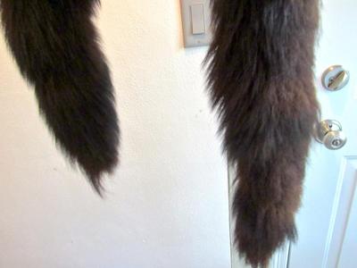 Vintage Fur Collar/Stole